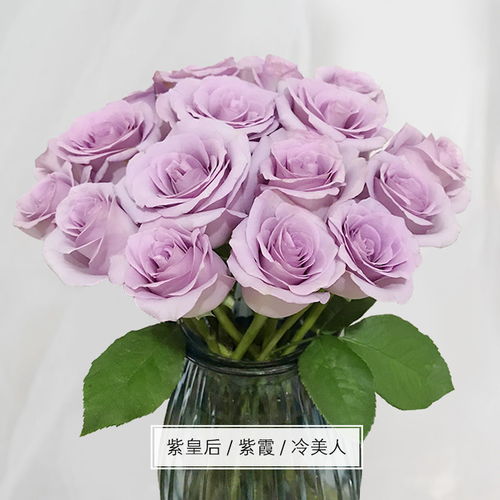 玫瑰花鲜花花束家用真花鲜花批发水养百合情人节礼物